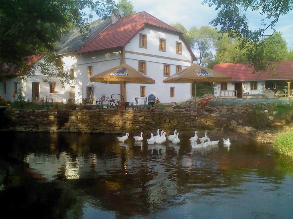 Biofarma Dolejsi Mlyn Villa Kamberk Exterior photo